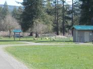 Walking path to dog park 